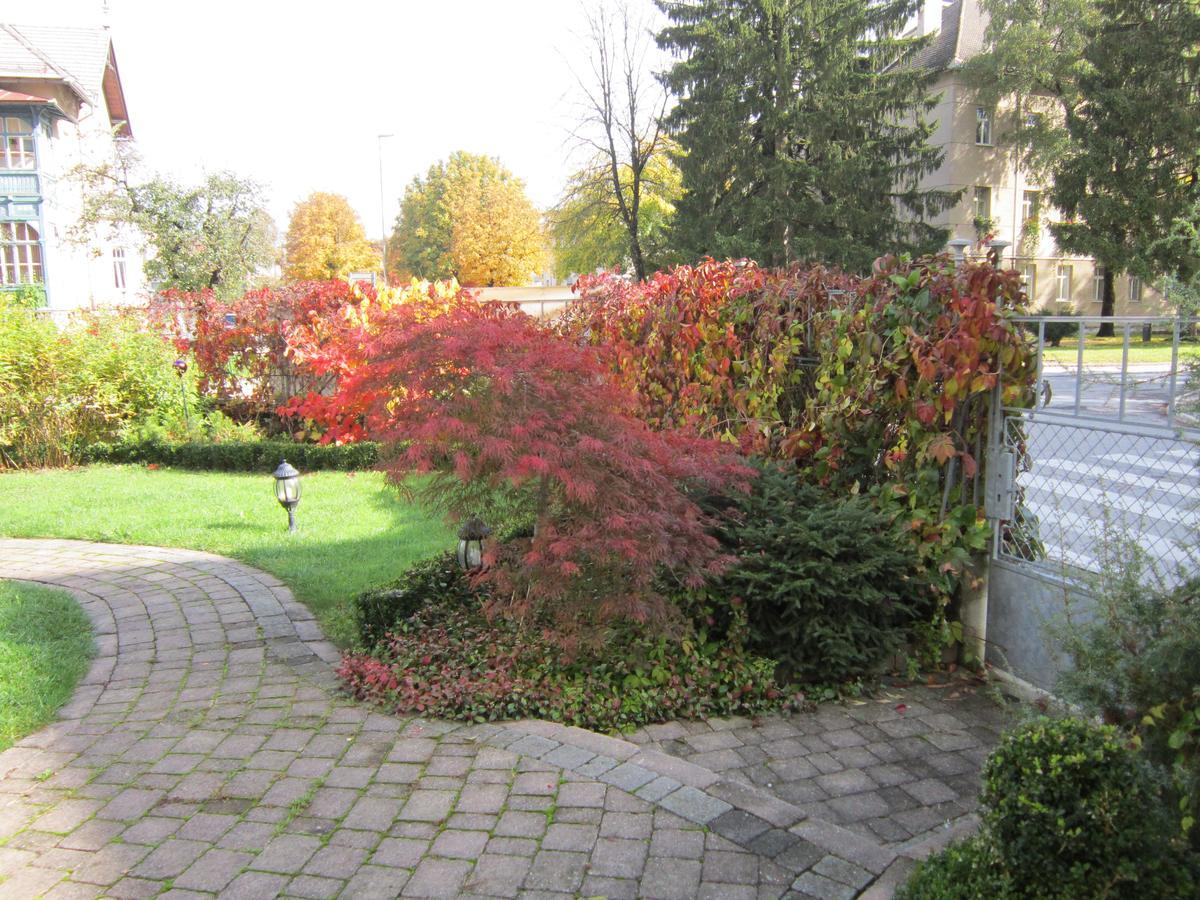 Guest House Veronika Kocevje Exterior photo